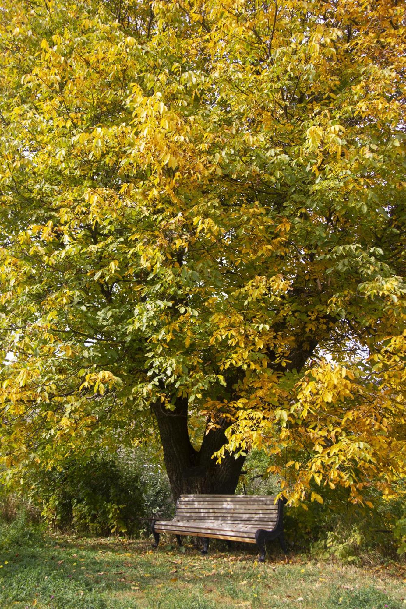 Zove Rural Cottage With Garden Views K'arashamb Dış mekan fotoğraf